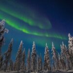 Hunting Northern Lights with Husky - The Guides and Their Role