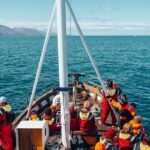 Húsavík Whale Watching Tour, family owned and operated - Who Should Consider This Tour?