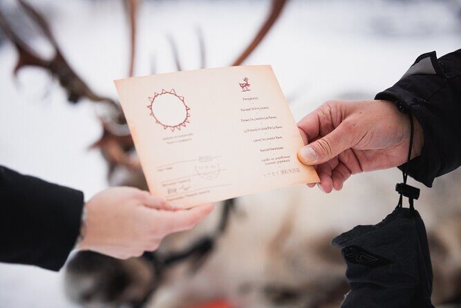 Husky and Reindeer Experience With Snowmobiling - Value and Practical Considerations