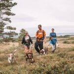 Husky Hike and Puppy Visit with Lunch - Why This Tour is a Great Choice
