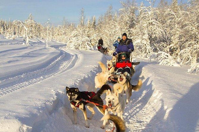 Husky Ride Private Tour from Krakow - FAQ
