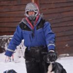 Husky Tour Sit and Drive Combo Tour from Kiruna - The Sum Up