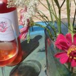 Hvar Small Group Wine Tour and Authentic Dalmatian Dinner - Why This Tour Truly Stands Out