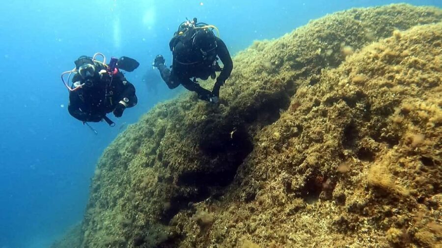 Hvar: Try Dive/Discover Scuba Diving Program - Why This Experience Offers Good Value