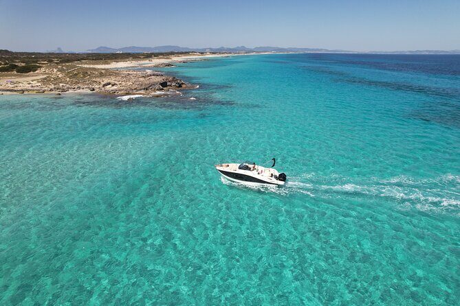 Ibiza and Formentera boat tour - What Travelers Say: Authentic Feedback