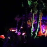 IBIZA: Astro Magic Lights at Bibo Park - Why This Tour Works Well