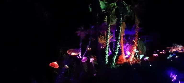IBIZA: Astro Magic Lights at Bibo Park - Why This Tour Works Well