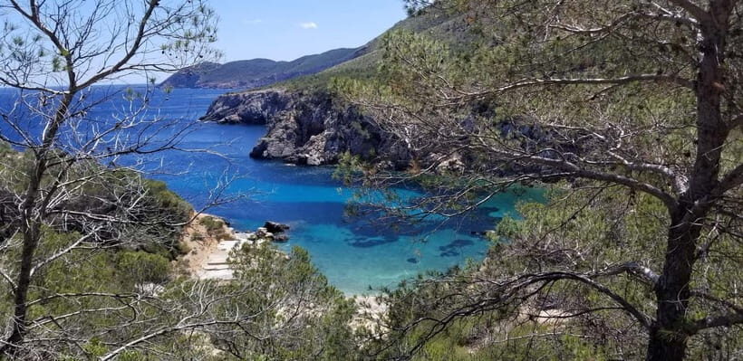 Ibiza: Crystal Coast Walk with Swim Stop - The Experience from the Participant’s Perspective