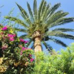 Ibiza: Old Town Guided Walking Tour - Why This Tour Stands Out