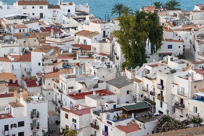 Ibiza old town Private Walking Tour with a Professional Guide - What Does the Tour Feel Like in Practice?