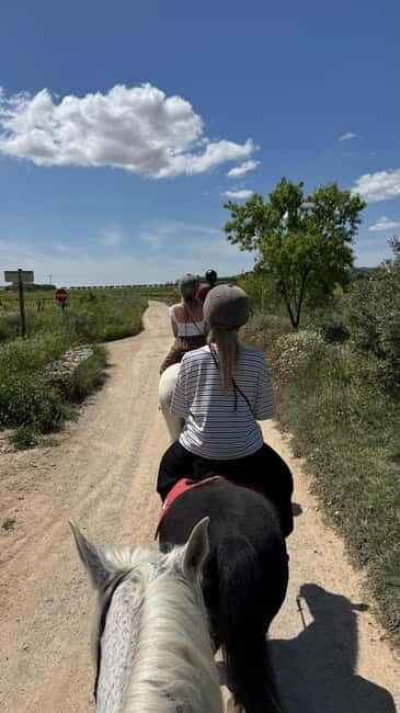 Ibiza: Private Horseback Ride + Transport & Optional Picnic - What to Expect During the Tour