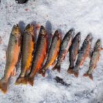 Ice Fishing and Husky - Practical Details and Considerations