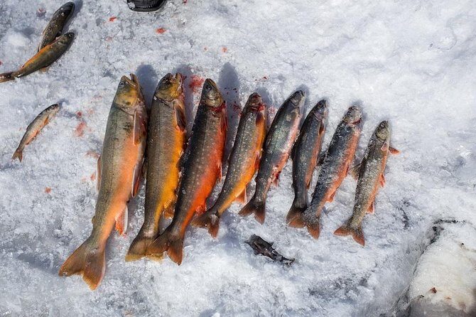 Ice Fishing and Husky - Practical Details and Considerations