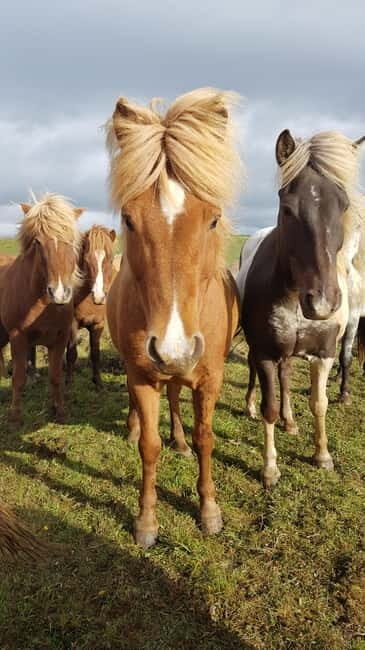 Iceland: Volcanic Landscape Horse Riding Tour - The Itinerary in Detail