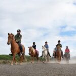 Icelandic Horseback Riding Tour from Reykjavik - Who Will Love This Tour?