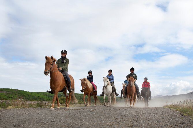 Icelandic Horseback Riding Tour from Reykjavik - Who Will Love This Tour?