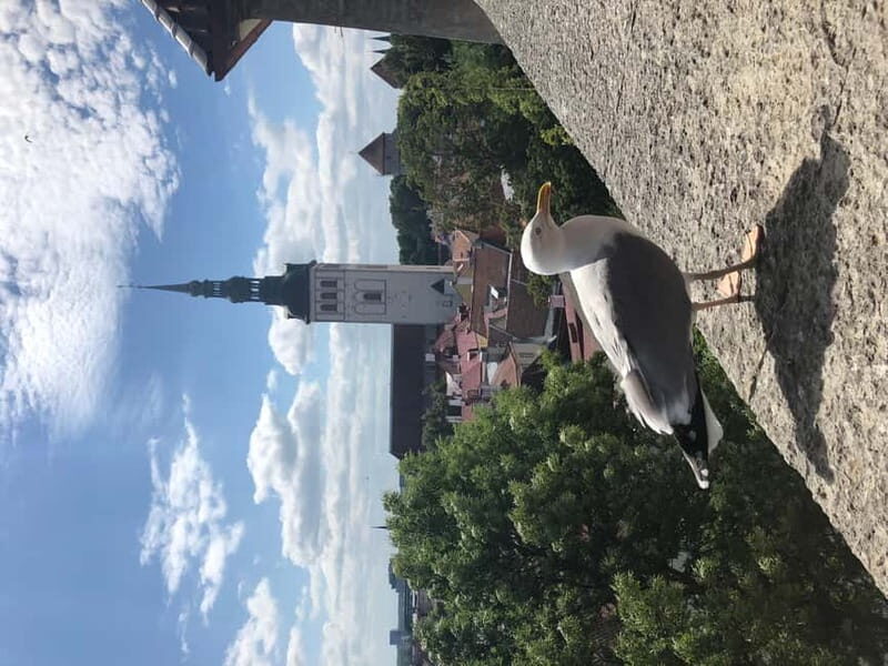 Iconic Old town Tallinn - Value and Practicality