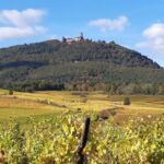 Iconics Typical villages & Haut Koenigsbourg castle - A Deep Dive into the Day