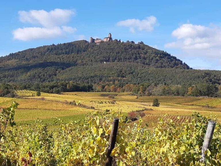 Iconics Typical villages & Haut Koenigsbourg castle - A Deep Dive into the Day