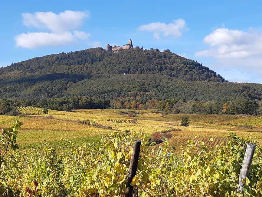 Iconics Typical villages & Haut Koenigsbourg castle - A Deep Dive into the Day