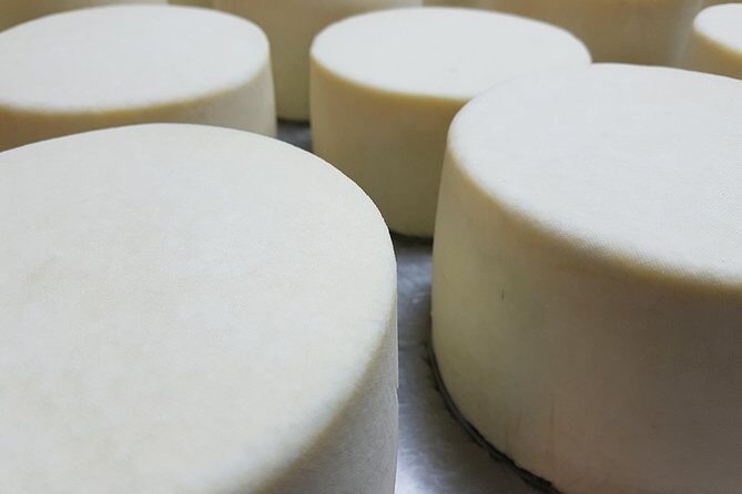 Idiazabal Cheese Farm and Basque Cider House Lunch from San Sebastian - Final Thoughts