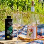 Il Molino di Grace: Vineyard Tour, Wine Tasting, and Picnic - Why This Tour Might Be Perfect for You