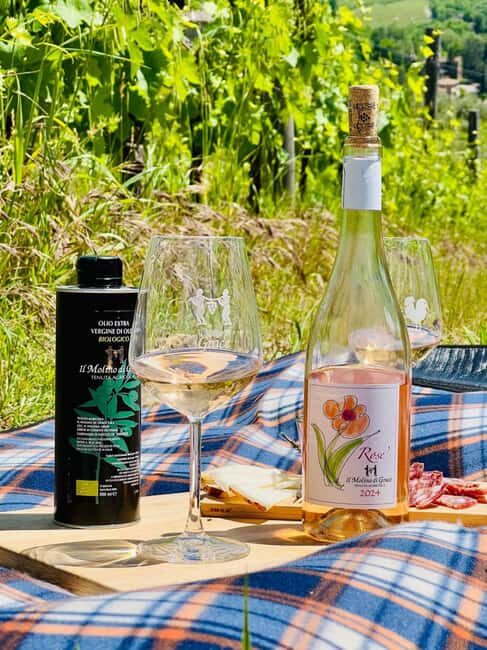 Il Molino di Grace: Vineyard Tour, Wine Tasting, and Picnic - Why This Tour Might Be Perfect for You