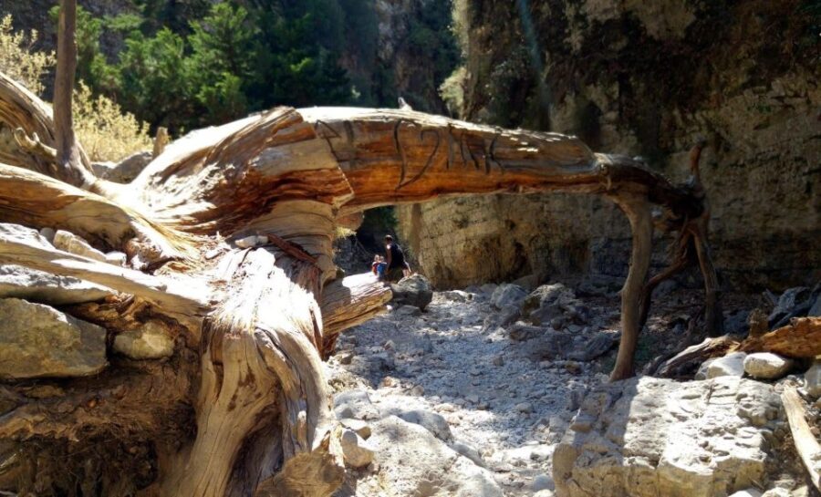 Imbros Gorge Hike From Rethymno - What Sets This Tour Apart?