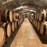 Immersion Domaine E.GUIGAL Visit wine cellars and tasting - Why This Tour Is Perfect for You