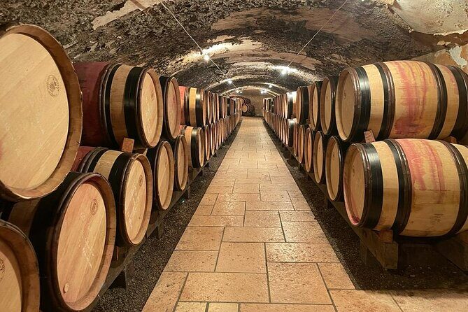 Immersion Domaine E.GUIGAL Visit wine cellars and tasting - Why This Tour Is Perfect for You