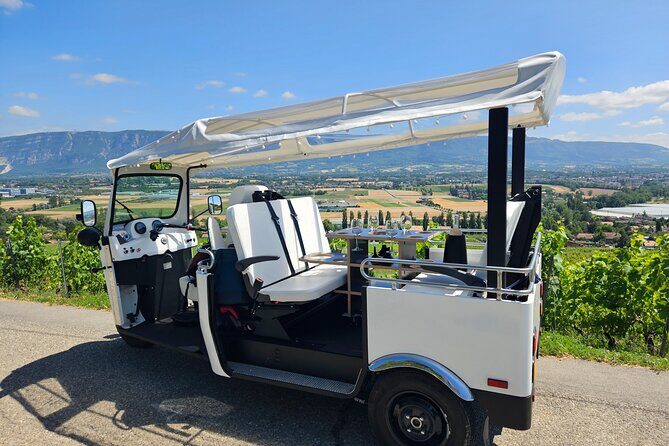 Immersion in the Geneva vineyards by tuktuk with tasting - Final Words: Who Should Consider This Tour?