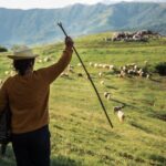 Immersive 2-Day Tour/Homestay with Shepherds in the Albanian Alps - The Experience: What You’ll Really Do