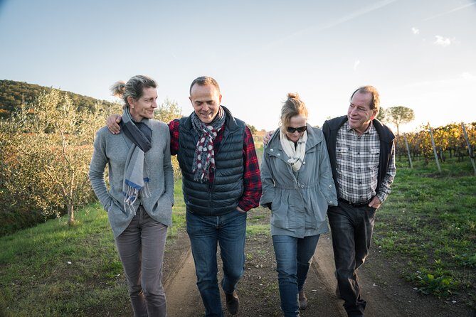 In a carriage among the vineyards, visit of the cellar, tasting of organic wines. - The Carriage Ride: A Visual Feast