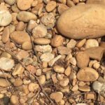 In Depth Chateauneuf-du-Pape - Authentic Experiences and Surprising Insights