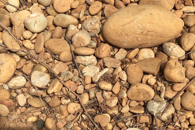 In Depth Chateauneuf-du-Pape - Authentic Experiences and Surprising Insights