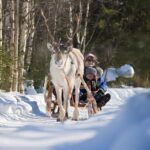 In Pursuit of Reindeer - Snowmobile safari to reindeer farm in Rovaniemi - Final Thoughts