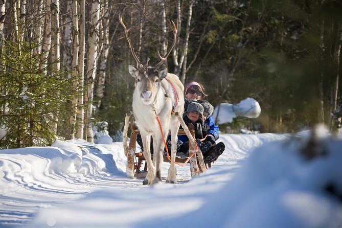 In Pursuit of Reindeer - Snowmobile safari to reindeer farm in Rovaniemi - Final Thoughts