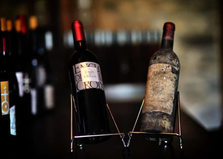 In the skin of a winemaker - Why This Tour Offers Great Value