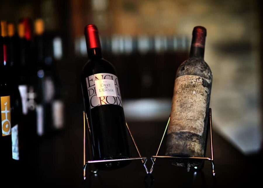 In the skin of a winemaker - Why This Tour Offers Great Value