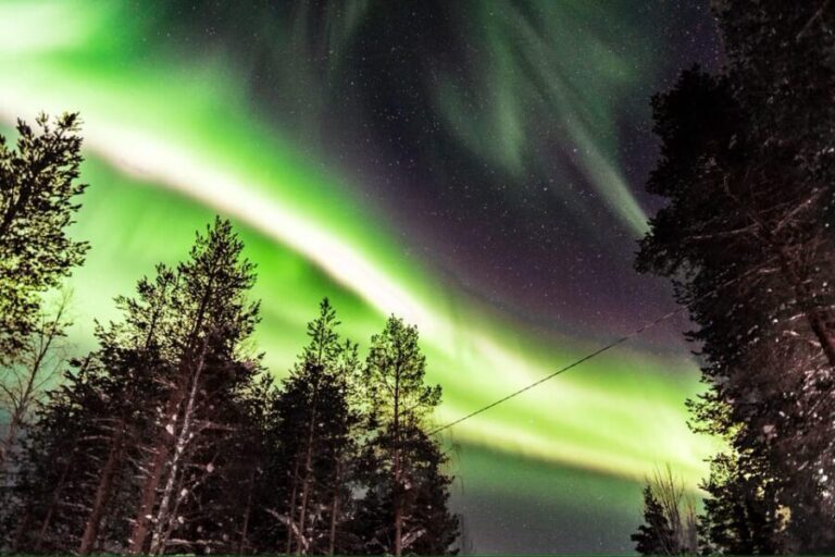 Inari: Northern Lights Hunt Snowmobile Safari - Exploring the Tour in Detail