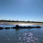 Industry or Nature Boat Tour | Speedboat - Is This Tour Worth It?