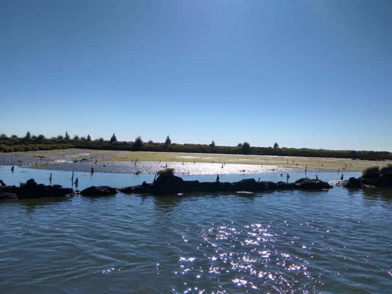 Industry or Nature Boat Tour | Speedboat - Is This Tour Worth It?