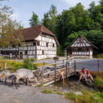 Interlaken: Admission ticket for the Ballenberg Open-Air Museum - Craft Demonstrations and Activities
