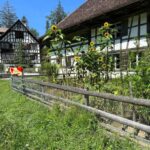 Interlaken: Ballenberg Swiss Open-Air Museum Tour - Exploring the Historic Buildings