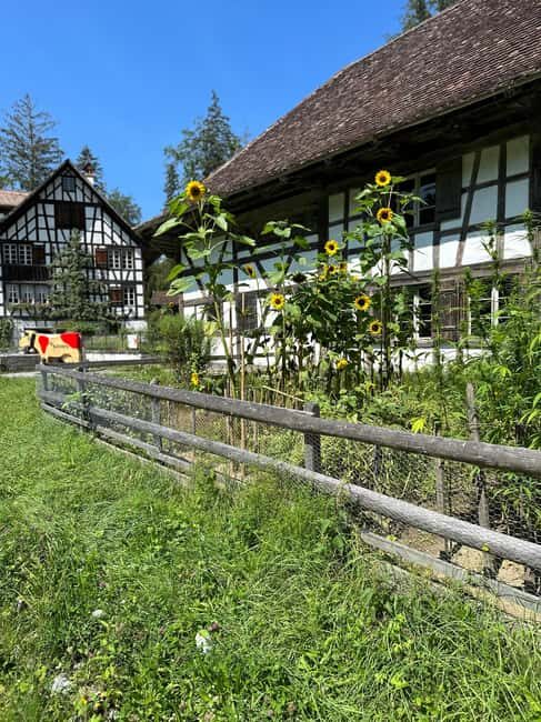 Interlaken: Ballenberg Swiss Open-Air Museum Tour - Exploring the Historic Buildings