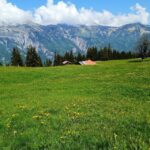 Interlaken: Highlights Tour with a Local by Private Car - The Value of this Private Tour