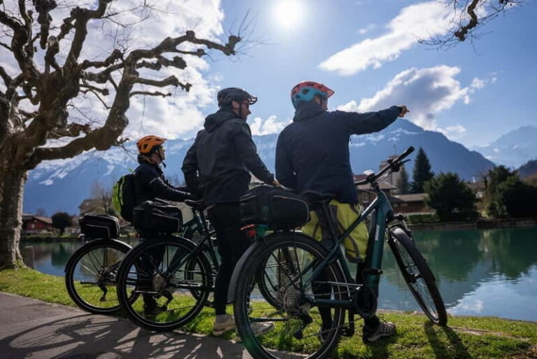 Interlaken: Scenic E-Bike Guided Tour - Why This Tour Works