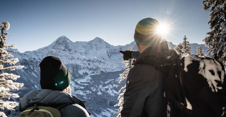 Interlaken: Winter Alpine Adventure - Snowshoe and Sledding - Is This Tour Worth It?