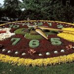 International & Panoramic Tours Geneva - Detailed Review: What to Expect from the Geneva Open Top Bus Tour