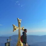 Into the wild - Practicalities and Value